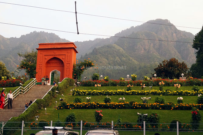 Chashme Shahi Garden Kashmir